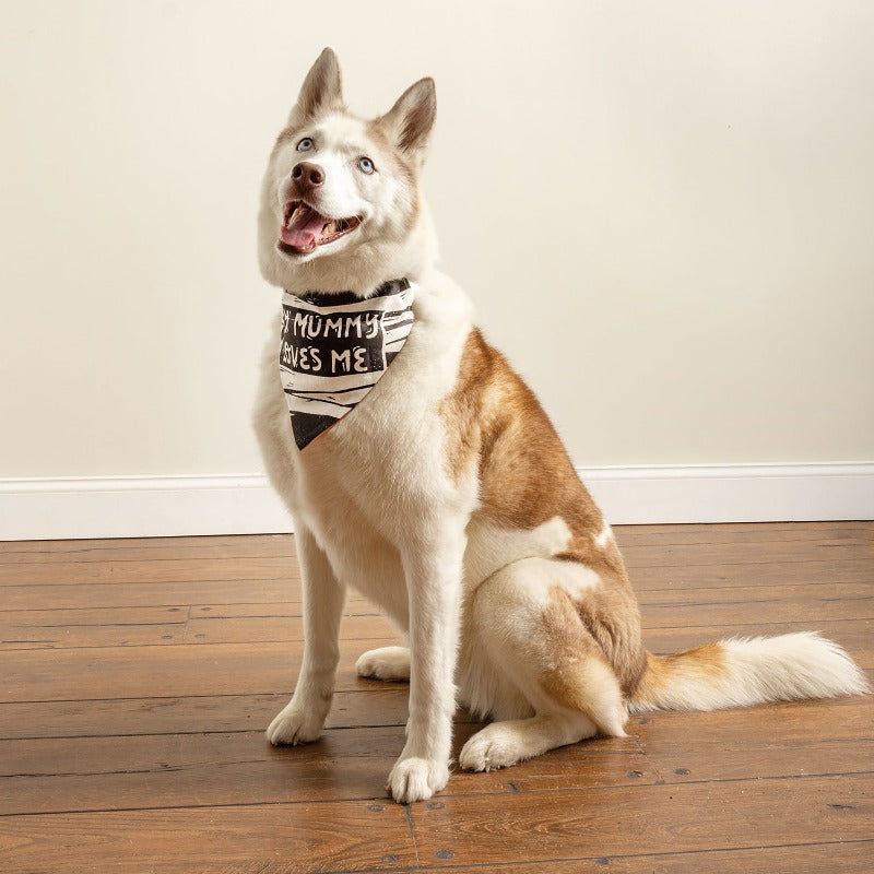 Halloween Reversible Collar Bandana "Sweet & Spooky" / "My Mummy Loves Me"