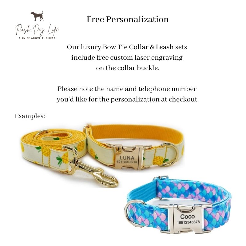 Cottage Rose Bow Tie Dog Collar & Leash Set