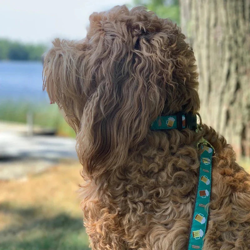 Up Country Beer Dog Collar & Leash Matching Set