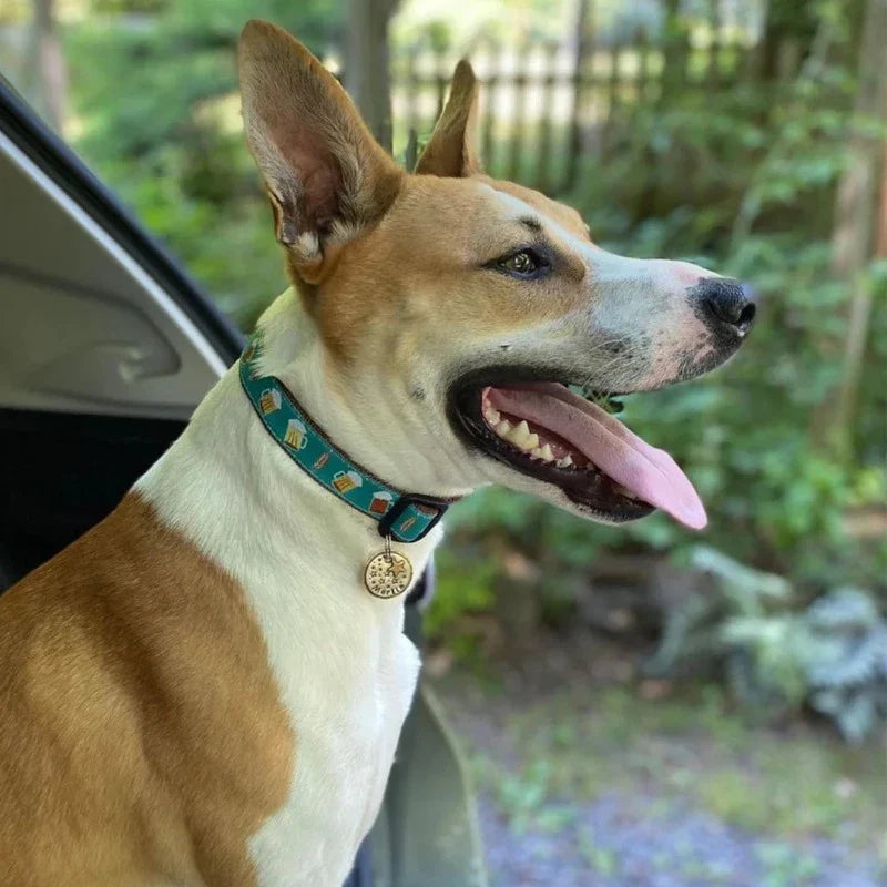 Up Country Beer Dog Collar & Leash Matching Set