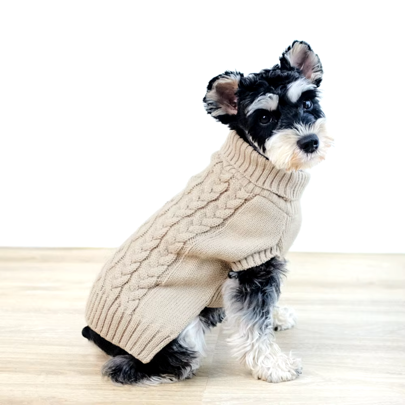 Chic Cable Knit Turtleneck Dog Sweater