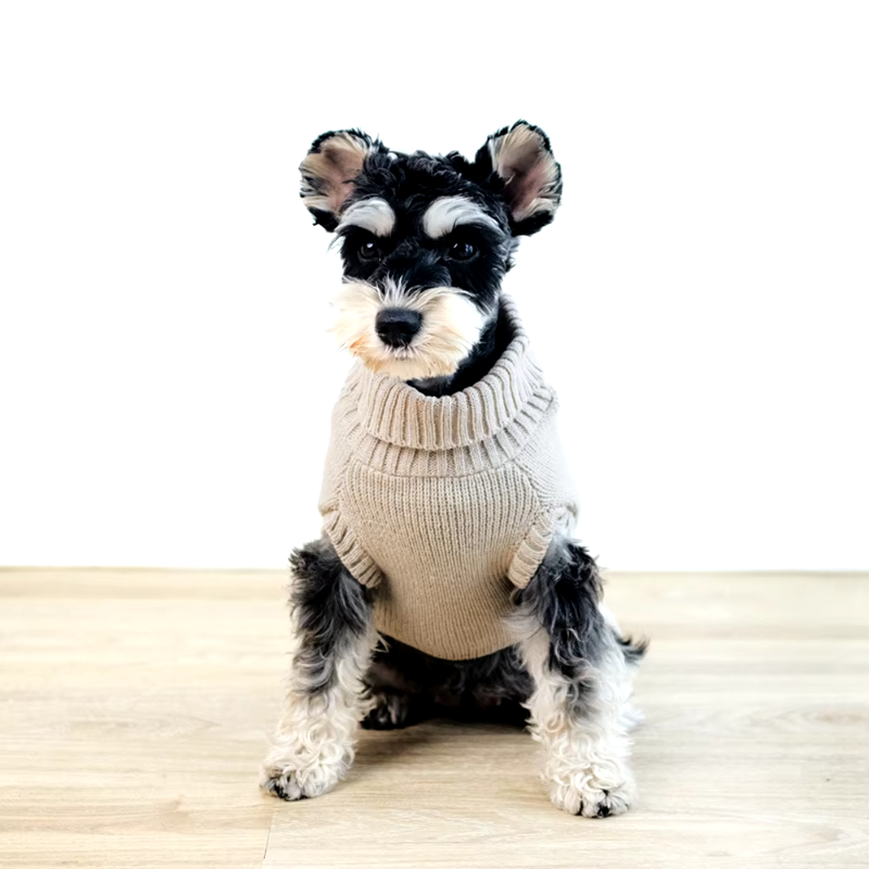 Chic Cable Knit Turtleneck Dog Sweater