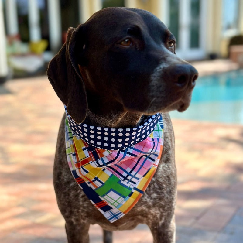 Madras Bandana Dog Collar