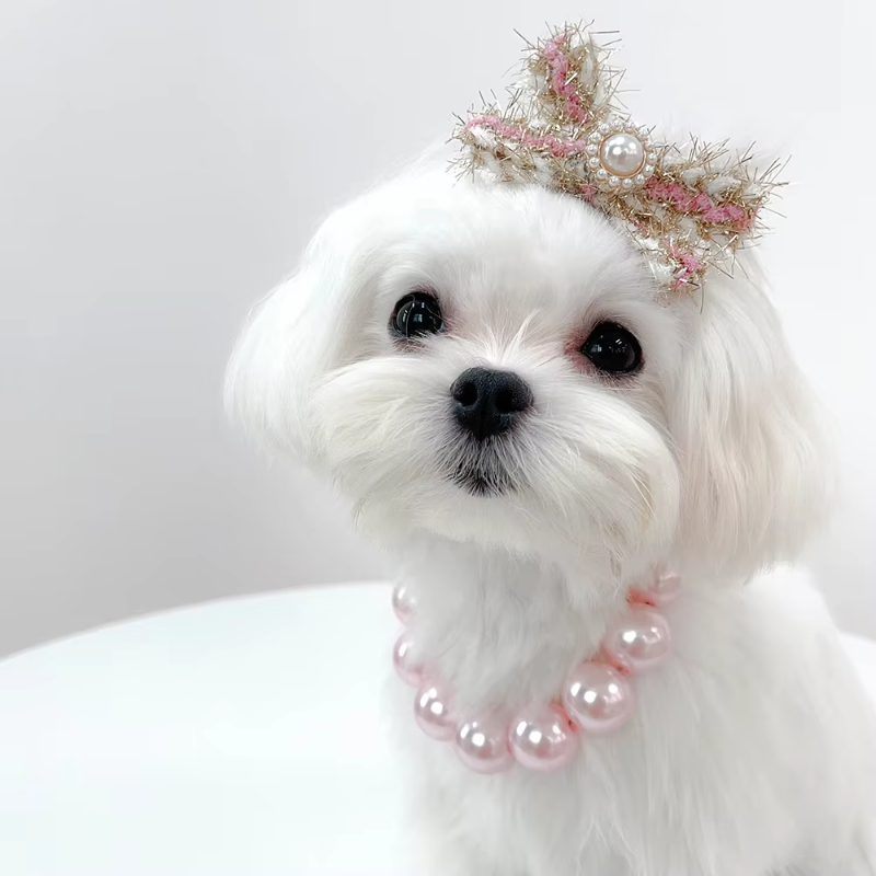 Large Pearl Dog Collar Necklace