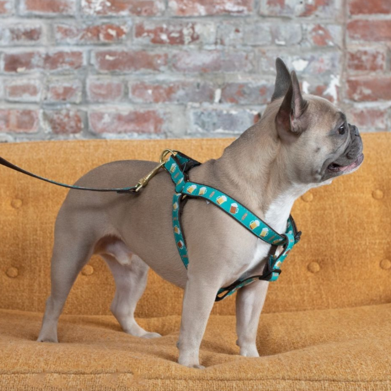 Up Country Beer Dog Harness & Leash Matching Set