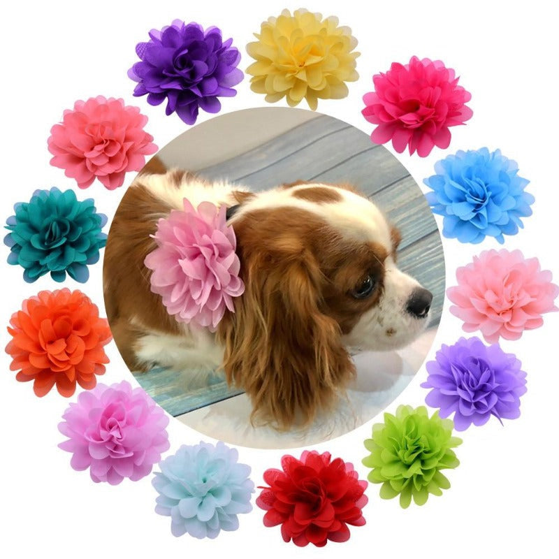 Floral Dog Collar Sliders
