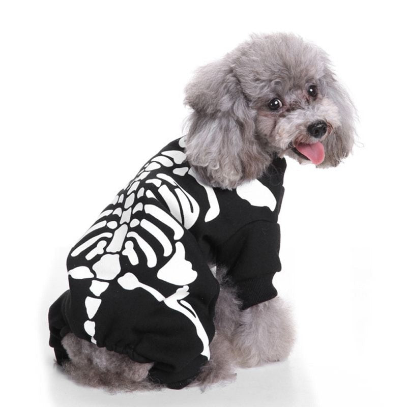 Halloween Skeleton Dog Costume