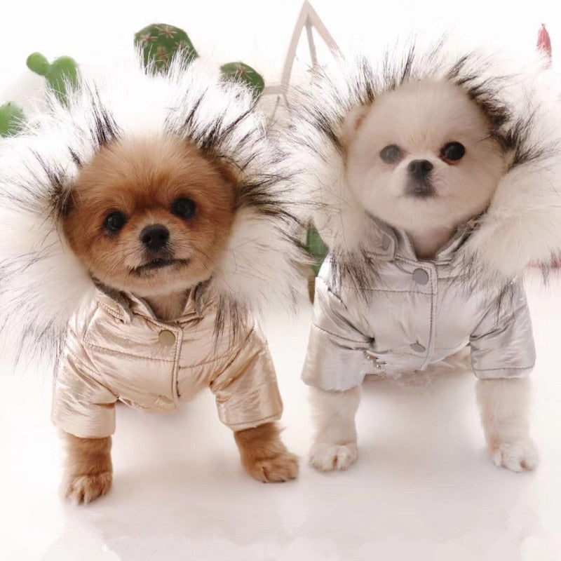 Metallic Silver/Gold Faux Fur Hooded Dog Coat