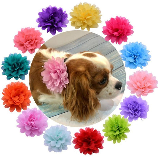 Floral Dog Collar Sliders