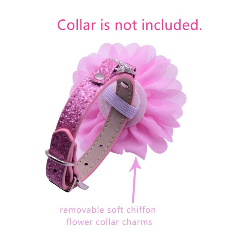 Floral Dog Collar Sliders